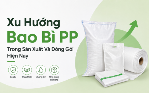 Xu Hướng Bao Bì PP Trong Sản Xuất Và Đóng Gói Hiện Nay